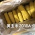 精品粘玉米大量上市厂家直发价格优惠欢迎来电洽谈合作