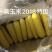精品粘玉米大量上市厂家直发价格优惠欢迎来电洽谈合作