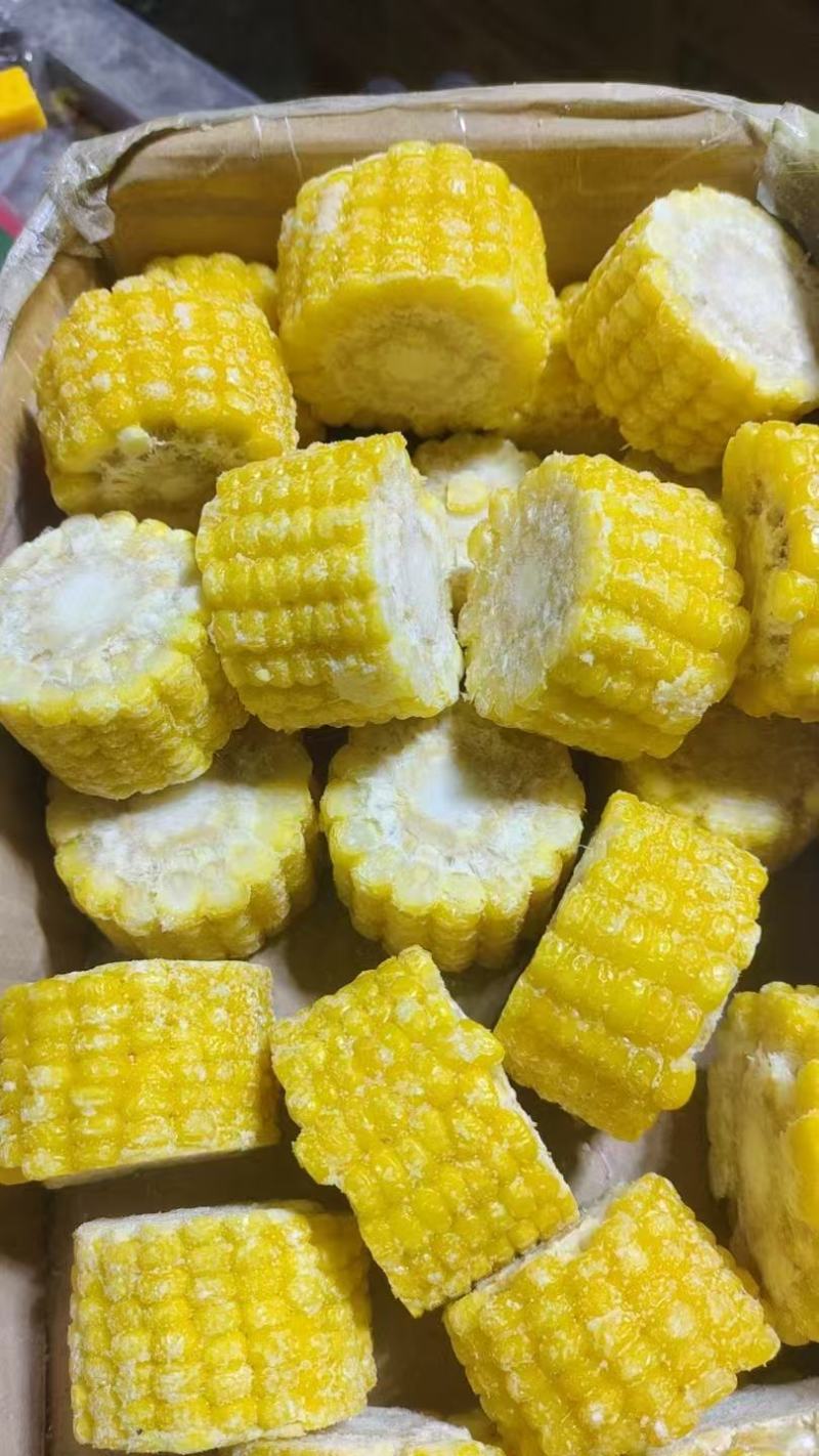 精品粘玉米大量上市厂家直发价格优惠欢迎来电洽谈合作