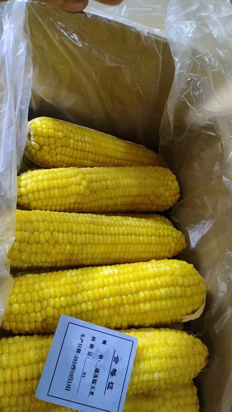 精品粘玉米大量上市厂家直发价格优惠欢迎来电洽谈合作