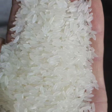 黑龙江精品大米上市厂家直发价格优惠品质保证欢迎来电