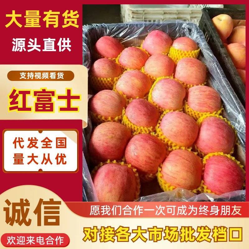 《精选》红富士苹果&山东苹果（规格齐全全国发货）上货中