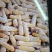 黑龙江干玉米棒大量供应自家种植对接全国新老客户