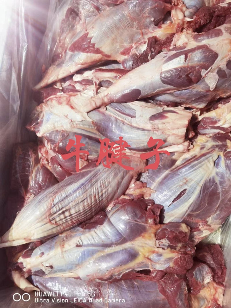 【牛腱子】当地草原黄牛腱子新货，精品五斤装鲜干速冻！质保