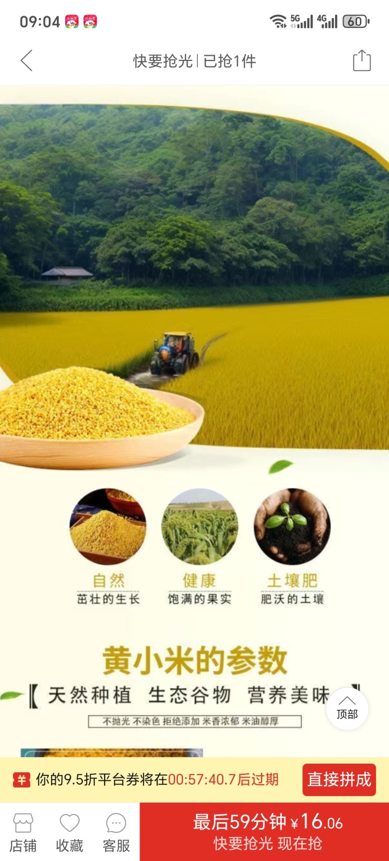 金苗黄小米