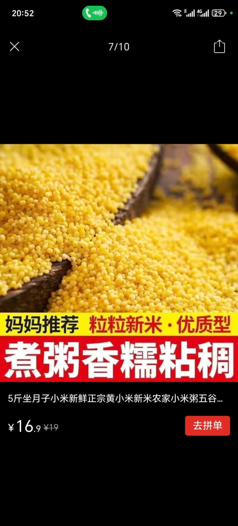 金苗黄小米