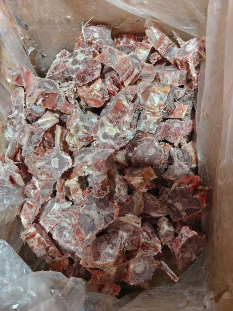 多肉羊蝎子