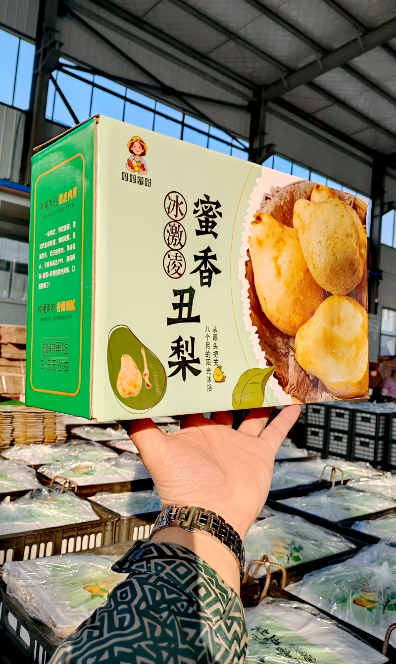 【手提小礼盒】冰激凌蜜香丑梨4斤社区团购团批整车集采发货