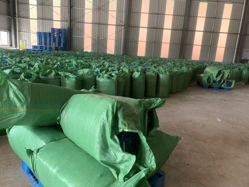 玉米青储产地一手货源，量大优惠欢迎合作，对接全国市场