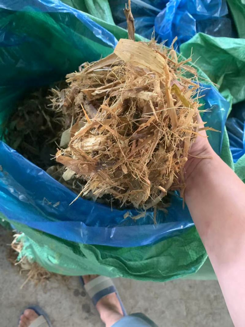 玉米青储产地一手货源，量大优惠欢迎合作，对接全国市场