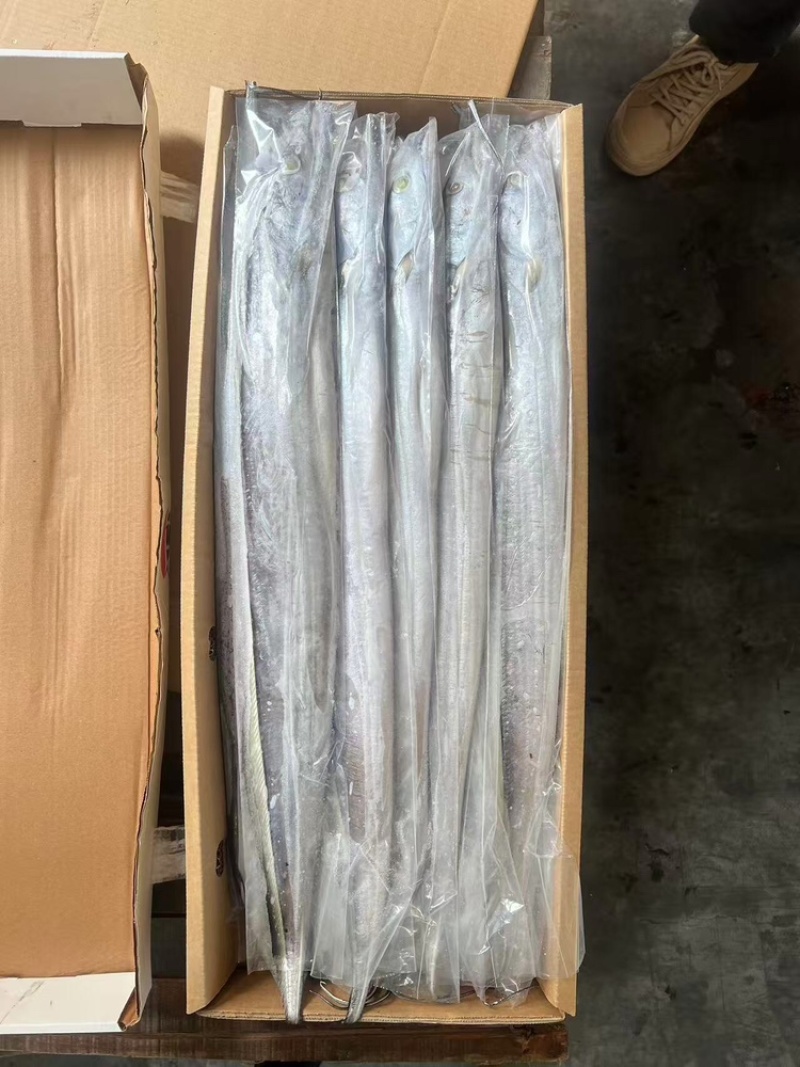 带鱼，厂家直发，大量有货，欢迎各位老板咨询采购