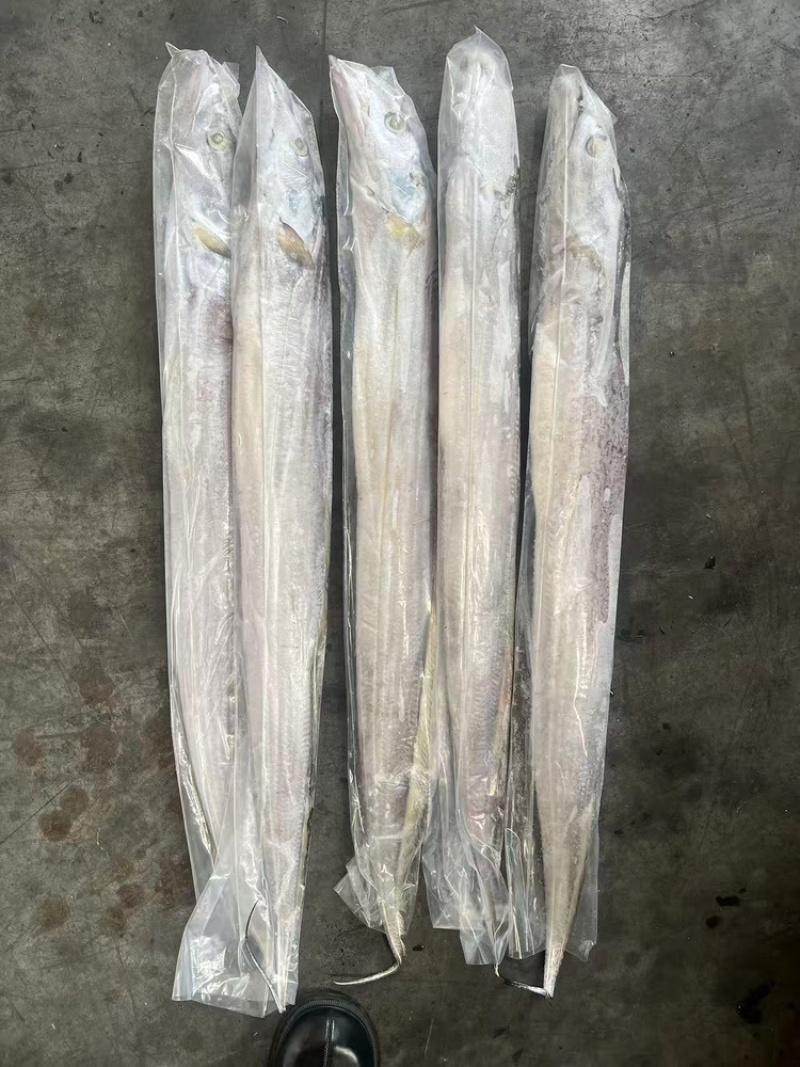 带鱼，厂家直发，大量有货，欢迎各位老板咨询采购