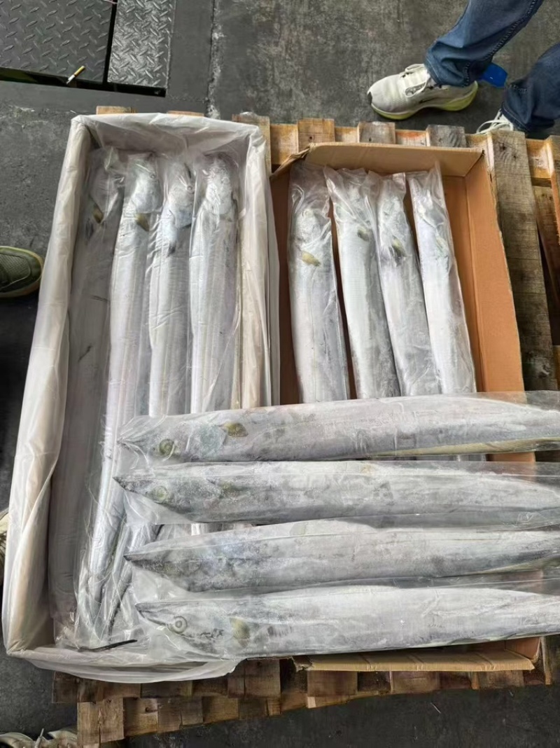 带鱼，厂家直发，大量有货，欢迎各位老板咨询采购