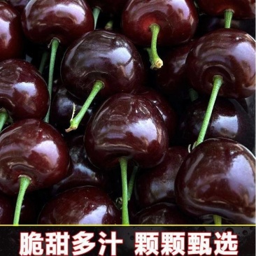 《智利车厘子》规格齐全对接全国量大从优一条龙服务