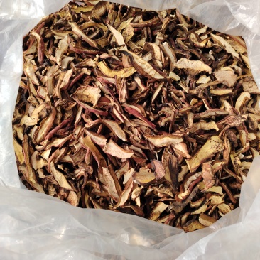 辽宁抚顺，红牛肝菌烘干片