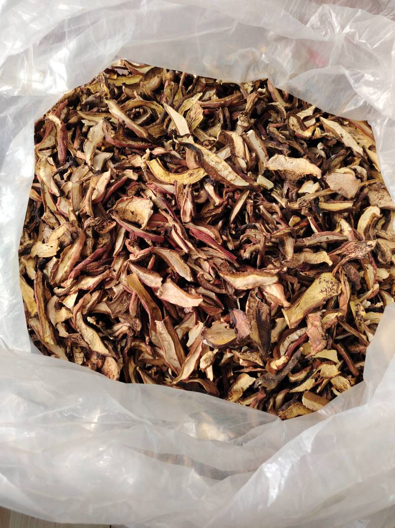 辽宁抚顺，红牛肝菌烘干片