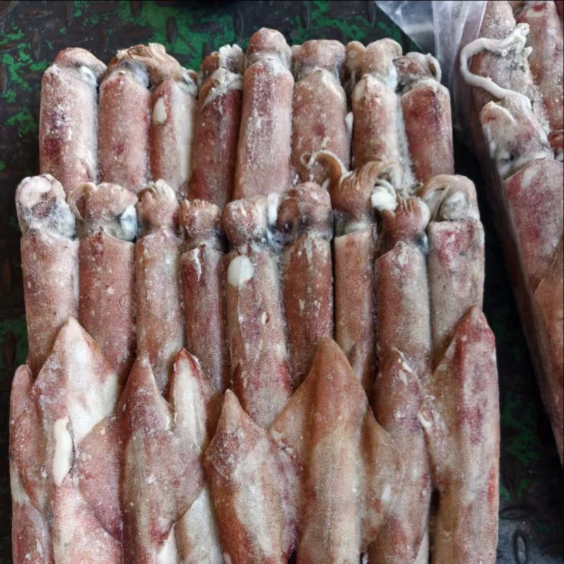 印尼红鱿鱼，厂家直发，可对接全国，可视频看货，欢迎咨询