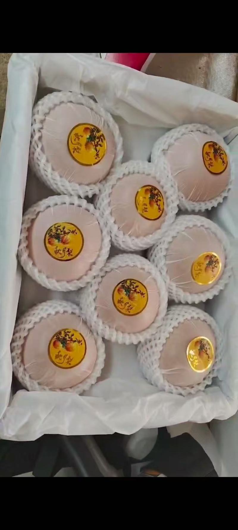 【推荐】山东莱阳秋月梨/视频看货/对接电商商超批发市场/