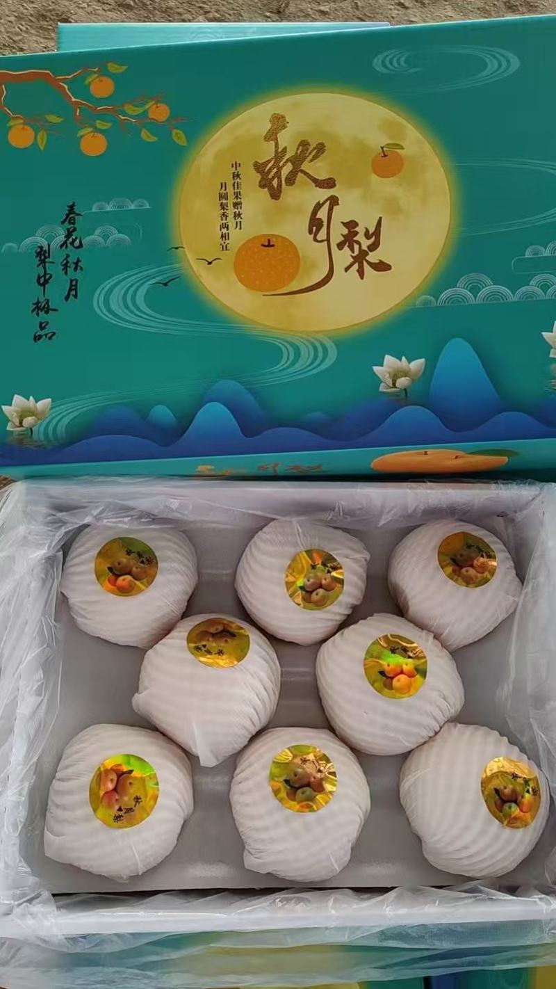 【推荐】山东莱阳秋月梨/视频看货/对接电商商超批发市场/