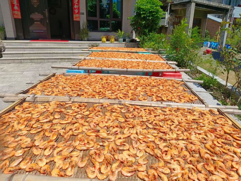 对虾干