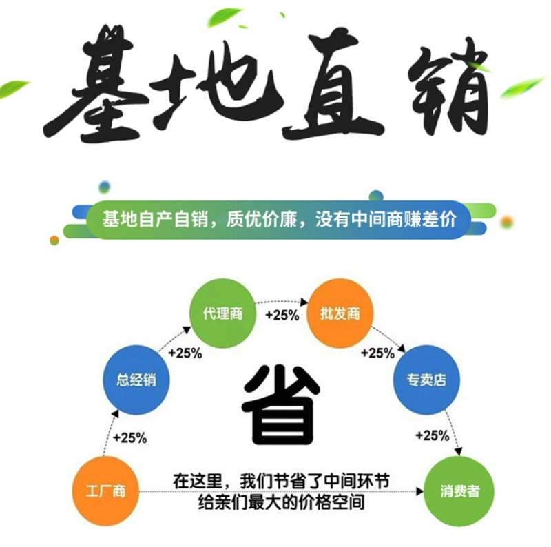 山东秋月梨树苗、山农酥、晚秋、基地直发、死苗补发、包邮