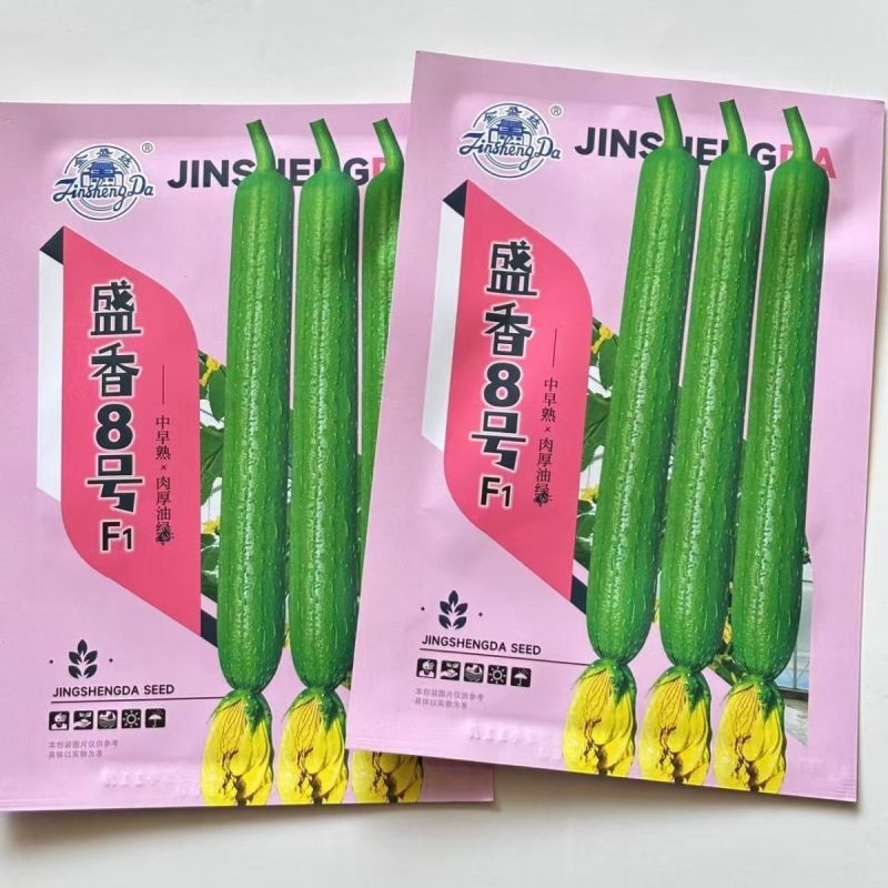 金盛达盛香8号F1丝瓜种子中早熟肉厚味浓香丝瓜种子颜色深