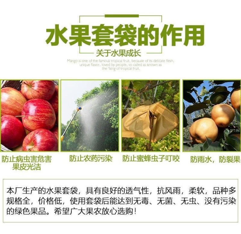 内黄蜡纸秋月梨，丰水梨，黄金梨专用果袋，