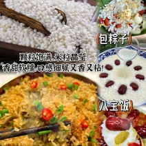 当季新货一年一季，圆糯米，糯糯香米