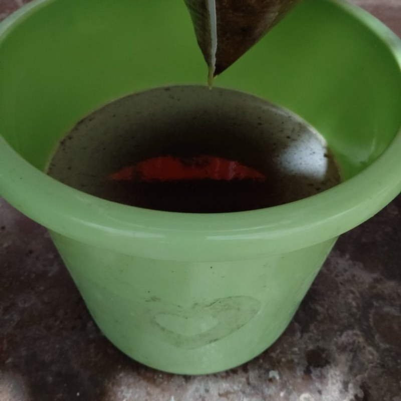 野生蜂蜜，全老蜜