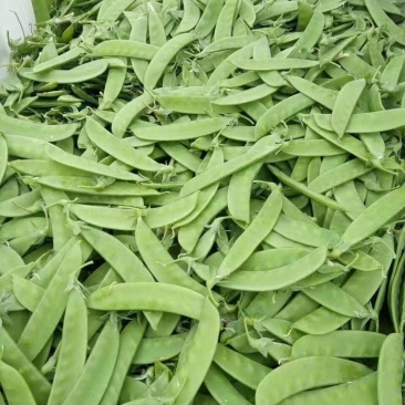 豆类