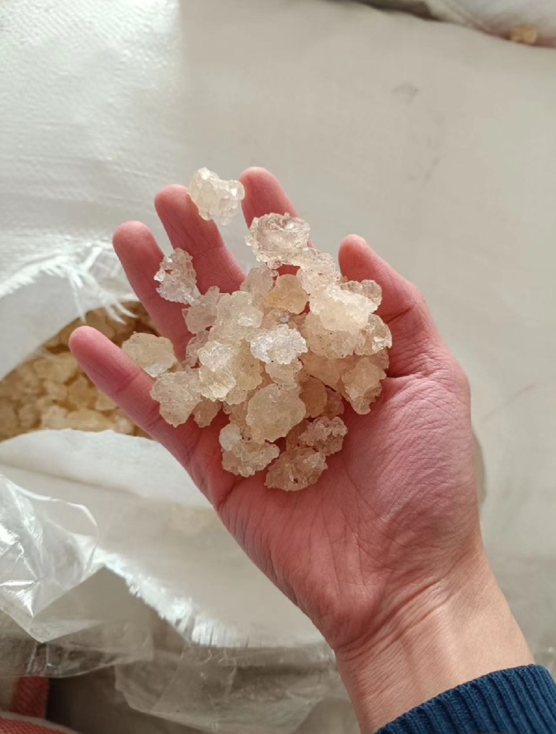 雪燕选装500g产地山东振兴药材购销站量大从