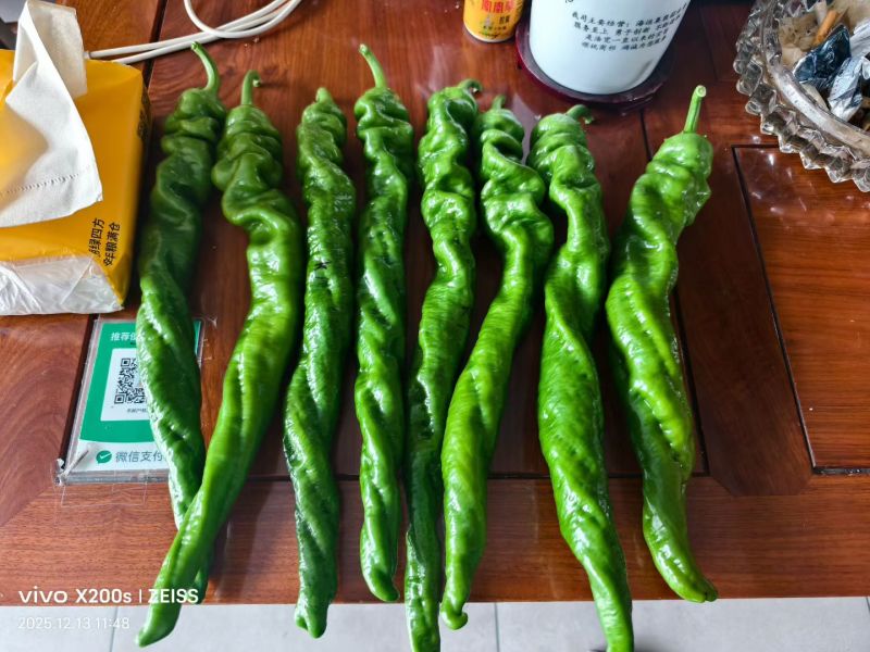 螺丝椒