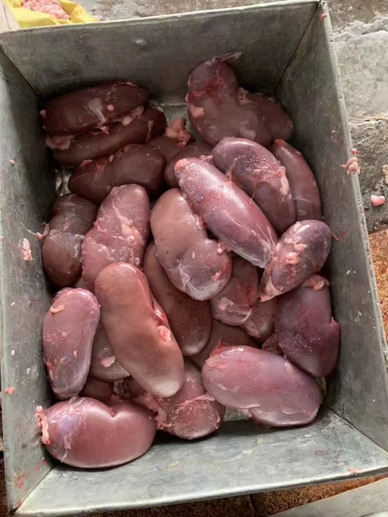 猪腰子猪肾新鲜保鲜