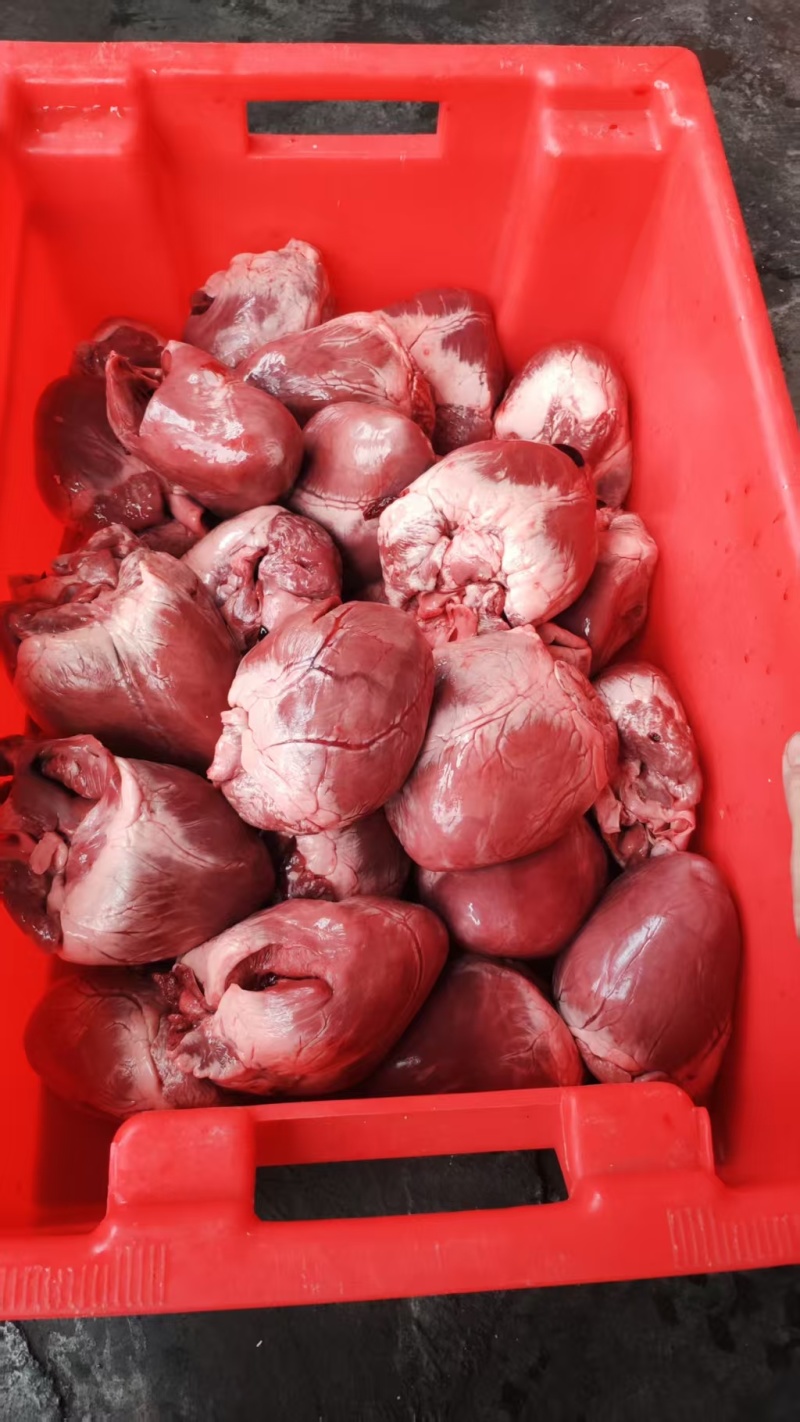 猪心新鲜保鲜猪心新鲜猪心，全省发货，屠宰场直发。