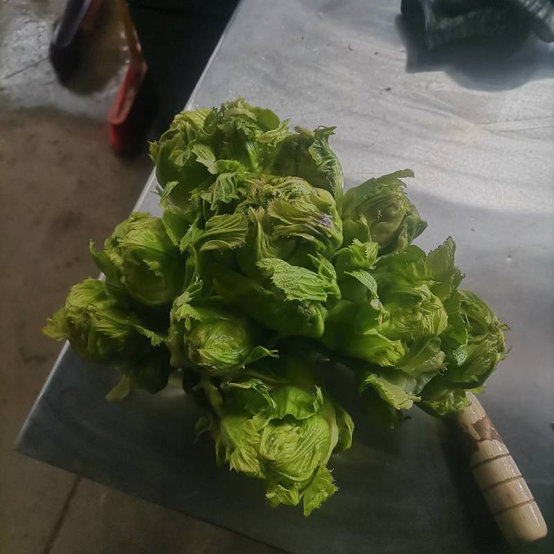 蔬菜。无农药无化肥的青菜。这么好的青菜，还等什