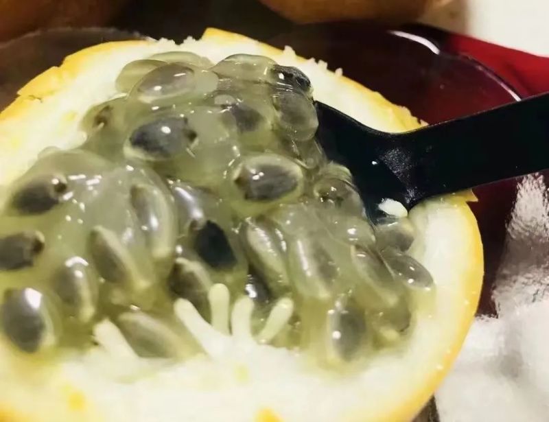 云南临沧热情果（哥伦比亚热情果）