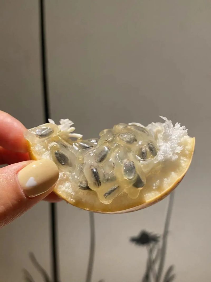 云南临沧热情果（哥伦比亚热情果）