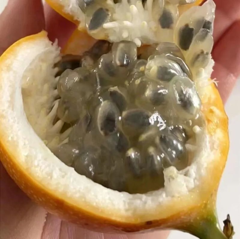 云南临沧热情果（哥伦比亚热情果）