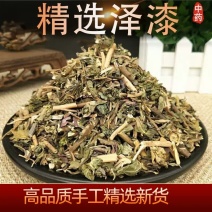 泽漆批发优质泽漆产地一首货源规格齐全量大价优