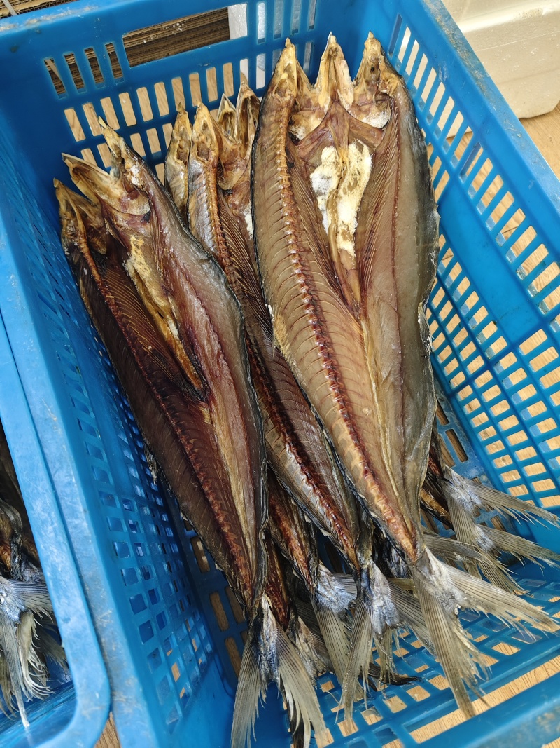 青岛一卤鲜新晒鲅鱼干淡干不咸马鲛鱼干顺丰快递