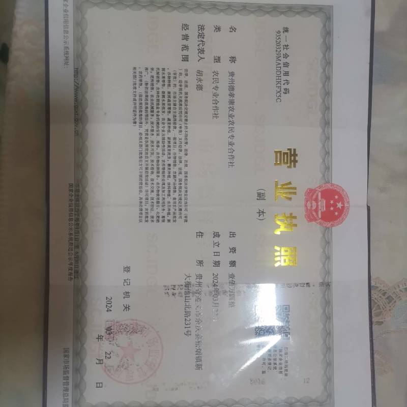 蔬菜。无农药无化肥的青菜。这么好的青菜，还等什