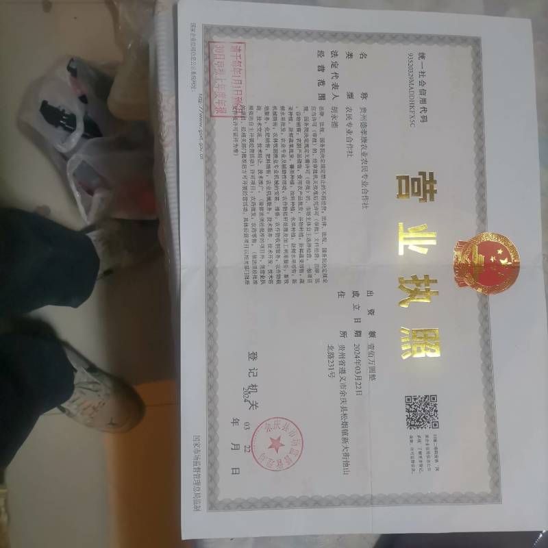 蔬菜。无农药无化肥的青菜。这么好的青菜，还等什