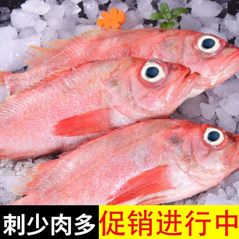 包邮）红石斑鱼整条新鲜冷冻大龙胆鱼红鱼颌斑石斑鱼海产品