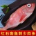 包邮）红石斑鱼整条新鲜冷冻大龙胆鱼红鱼颌斑石斑鱼海产品