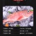 包邮）红石斑鱼整条新鲜冷冻大龙胆鱼红鱼颌斑石斑鱼海产品