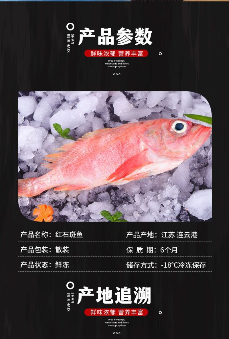包邮）红石斑鱼整条新鲜冷冻大龙胆鱼红鱼颌斑石斑鱼海产品