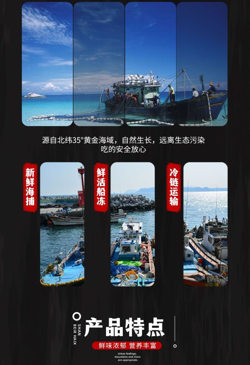 包邮）红石斑鱼整条新鲜冷冻大龙胆鱼红鱼颌斑石斑鱼海产品
