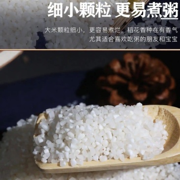 农家自产，当季新粮，整米研磨，粥香浓郁，真空锁鲜七贤粥米