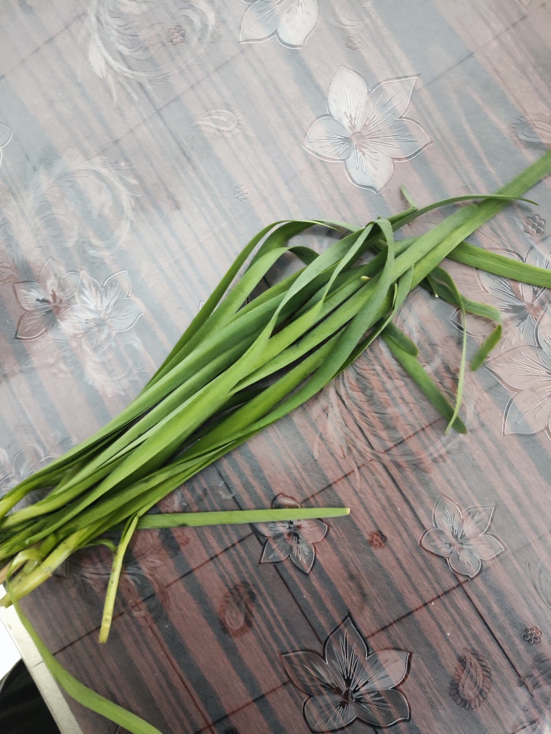 精品二刀精品韭菜