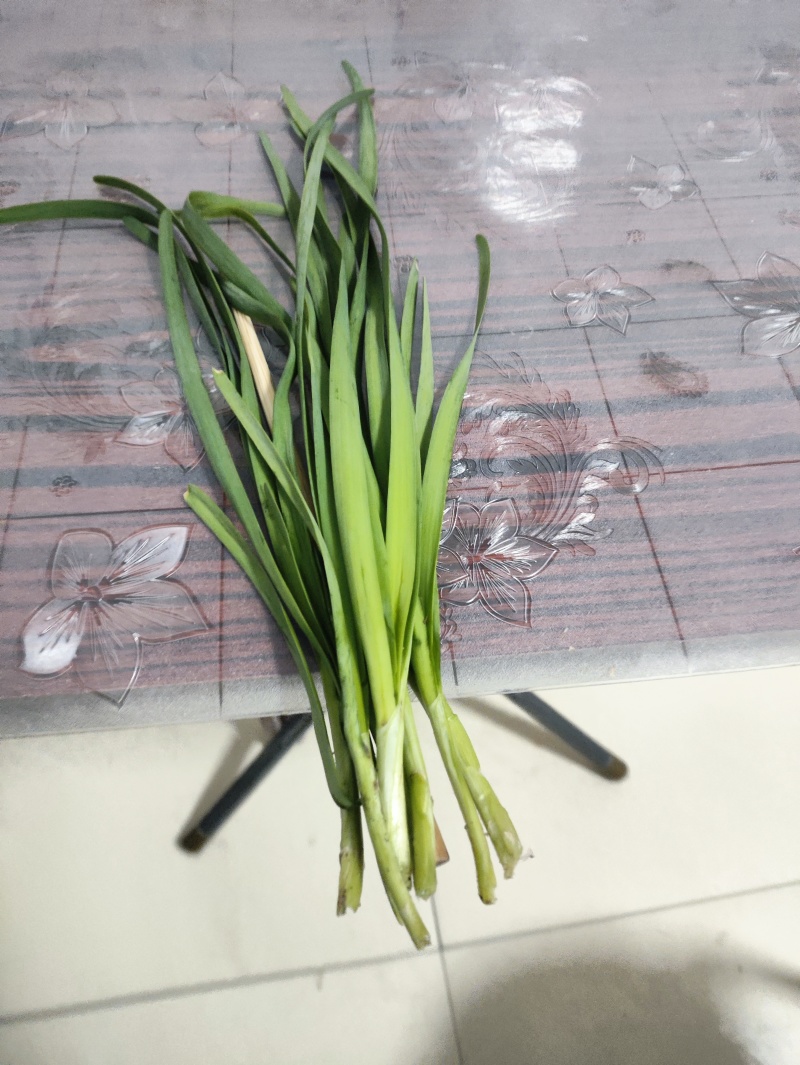 精品二刀精品韭菜